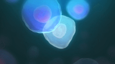 新突破！科学家成功使 53 岁中年女性的皮肤细胞“年轻”30 岁