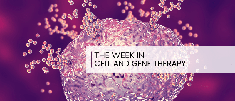 细胞疗法周刊：将 CAR- T 的注意力转向自身免疫性疾病