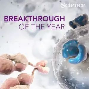 免疫治疗科普 | 常见免疫细胞疗法有哪些？不同免疫细胞疗法有何差异？