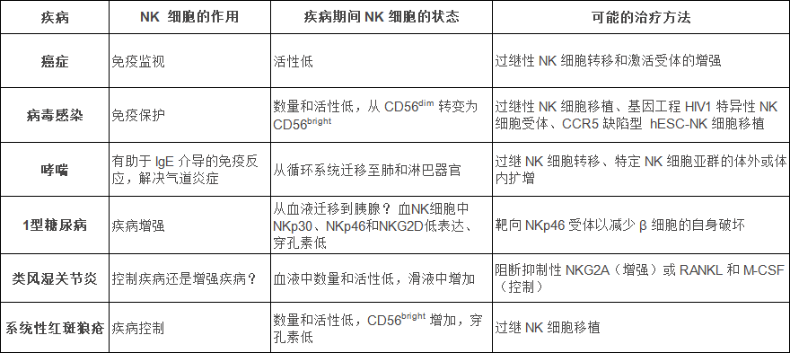 NK 细胞：在抗击不同疾病中发挥的作用！