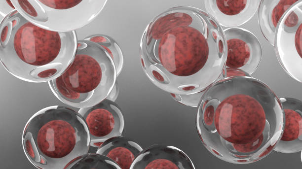 干细胞在治疗心血管疾病中的作用