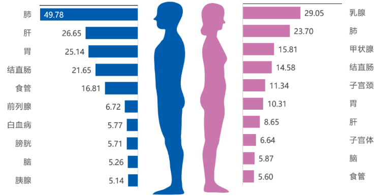 中山大学肿瘤防治中心揭示：免疫细胞治疗，助最高发的 5 大癌症患者重获新生！