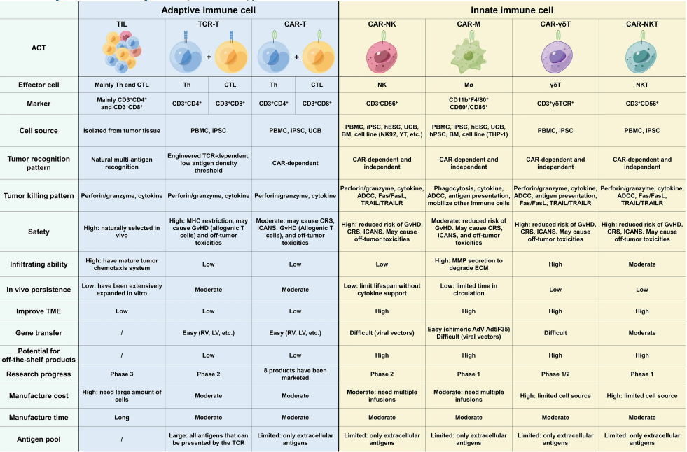 免疫治疗科普 | 常见免疫细胞疗法有哪些？不同免疫细胞疗法有何差异？