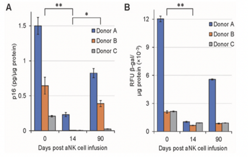 免疫治疗科普 | 常见免疫细胞疗法有哪些？不同免疫细胞疗法有何差异？